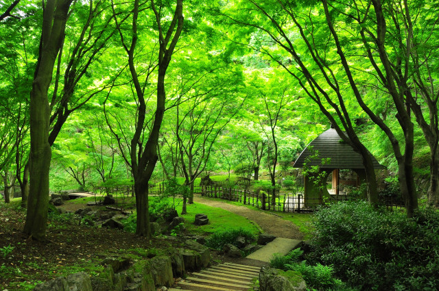 県立七沢森林公園【厚木市】